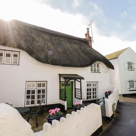 Teign Cottage Teignmouth Dış mekan fotoğraf
