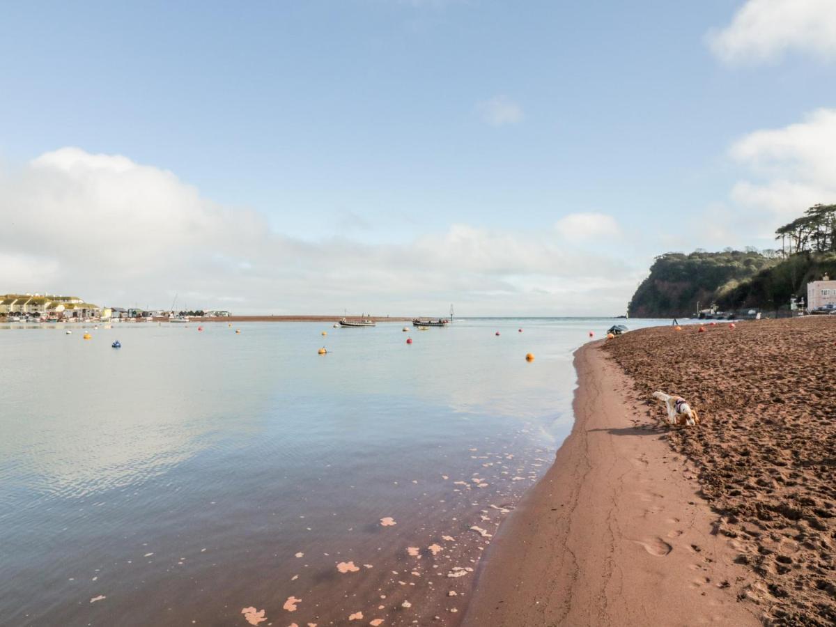 Teign Cottage Teignmouth Dış mekan fotoğraf